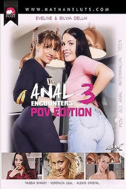Anal Encounters 3: POV Edition