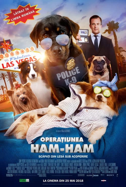 Operaţiunea Ham-Ham