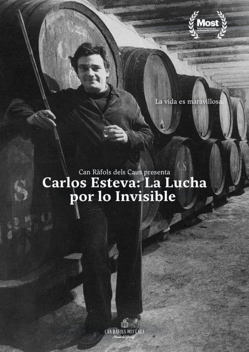 Carlos Esteva: la lluita per l'invisible