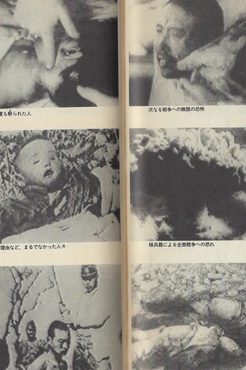 理解与选择