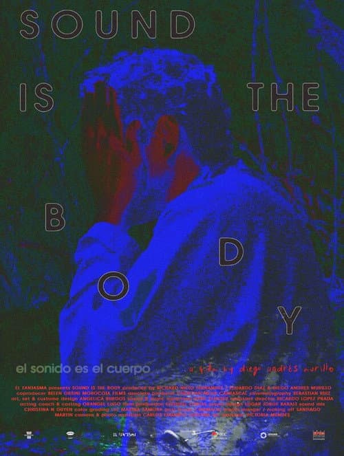 El Sonido Es El Cuerpo