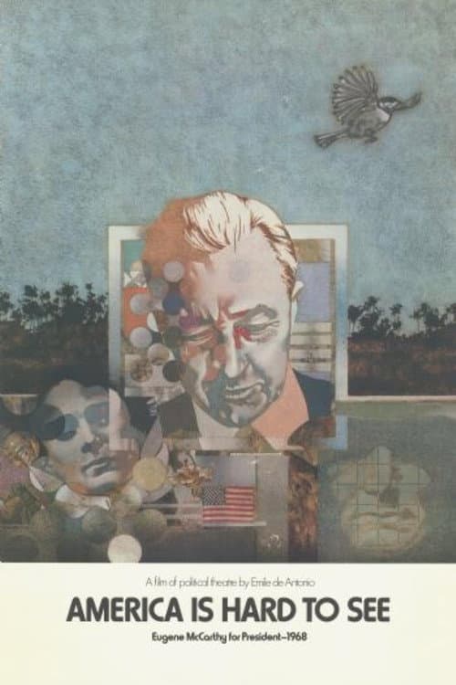 America Is Hard to See