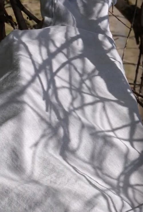 Affinities - 50 Years of Design