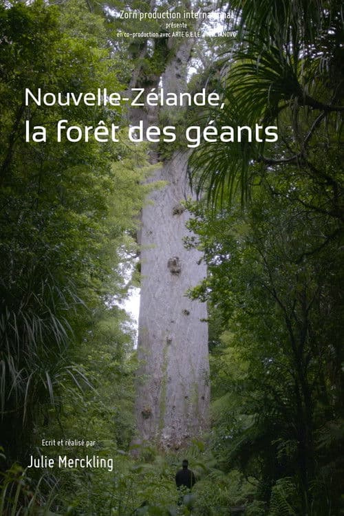 Nouvelle-Zélande, la forêt des géants