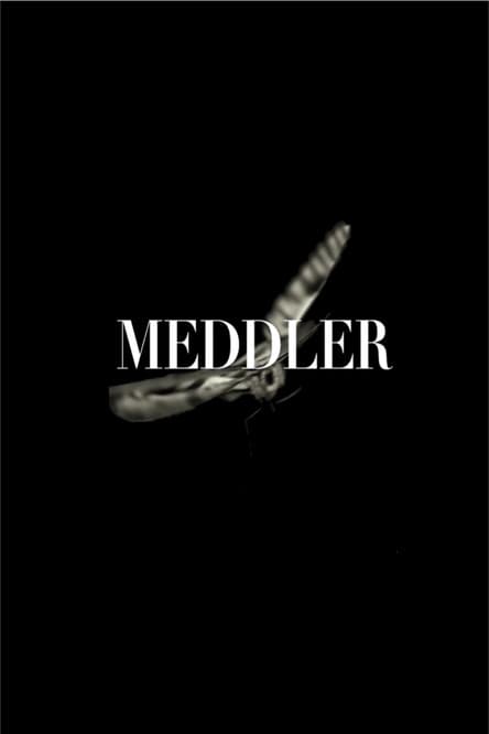 Meddler