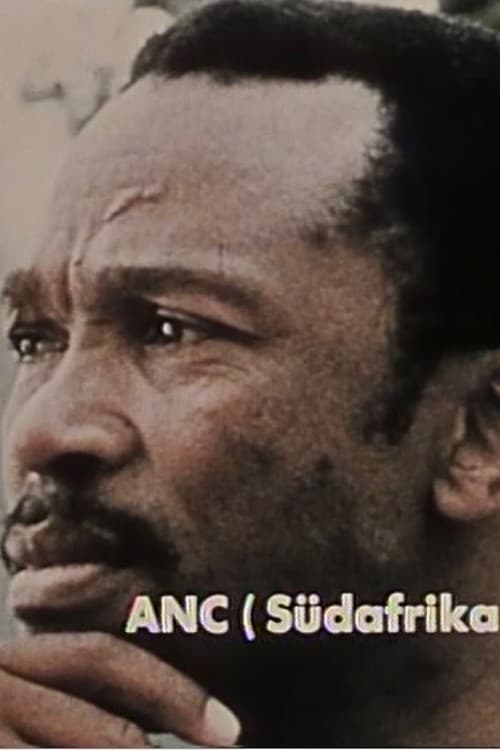 Algier, Hauptstadt der Revolutionäre