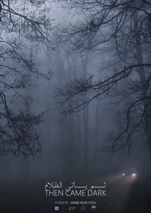 ثم يأتي الظلام