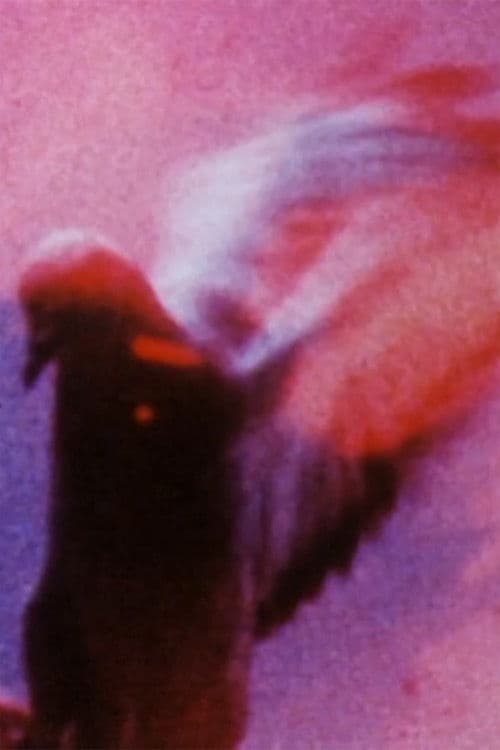 Long Eyes of the Earth