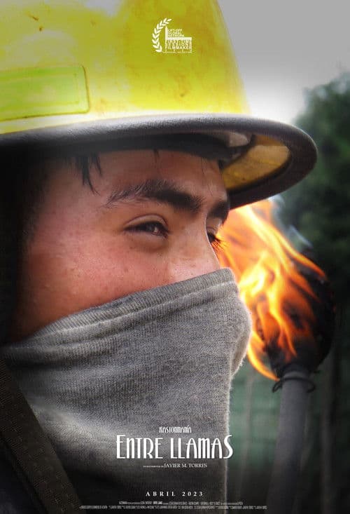 Entre llamas