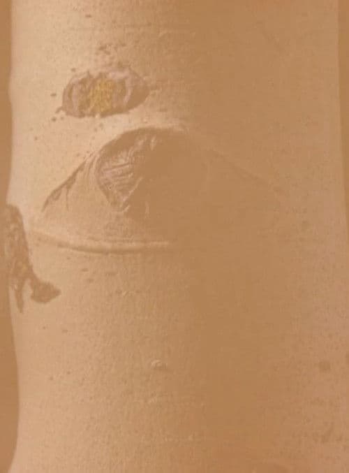 And Their Eyes Are Not Watching Us