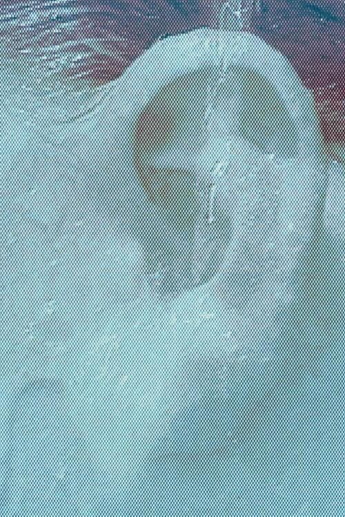 the capacity of absorption