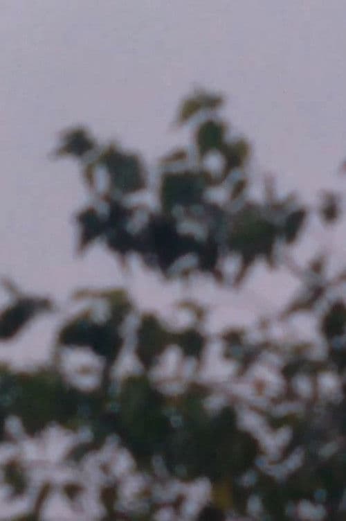 Exercícios Fílmicos No.1