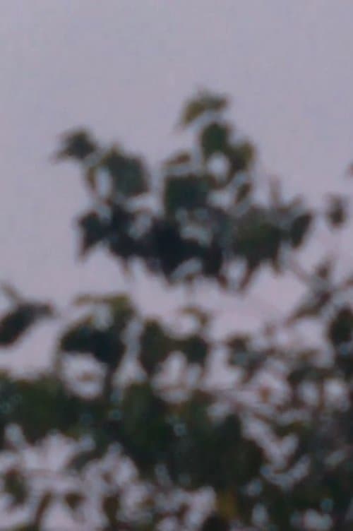 Exercícios Fílmicos No.1