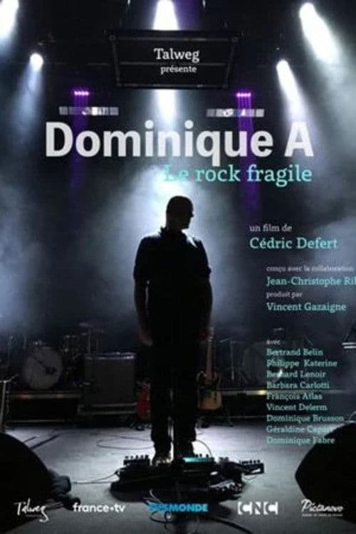 Dominique A, le rock fragile