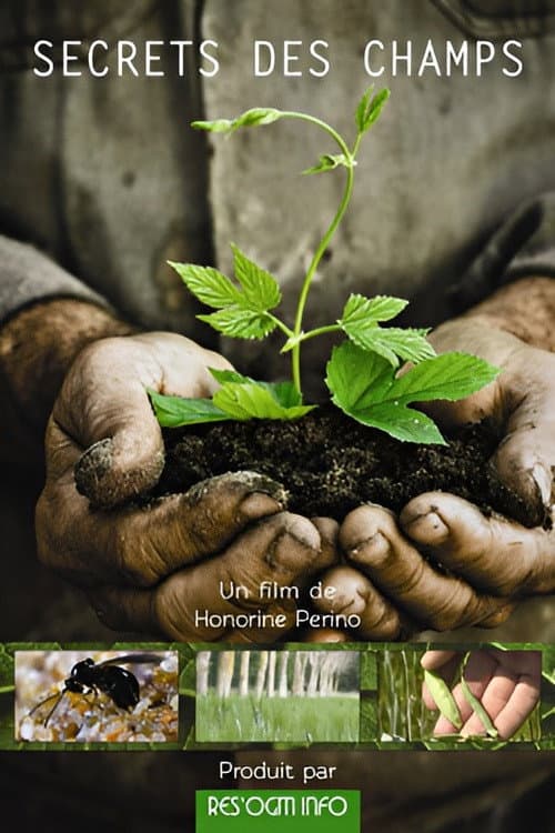 Secrets des champs