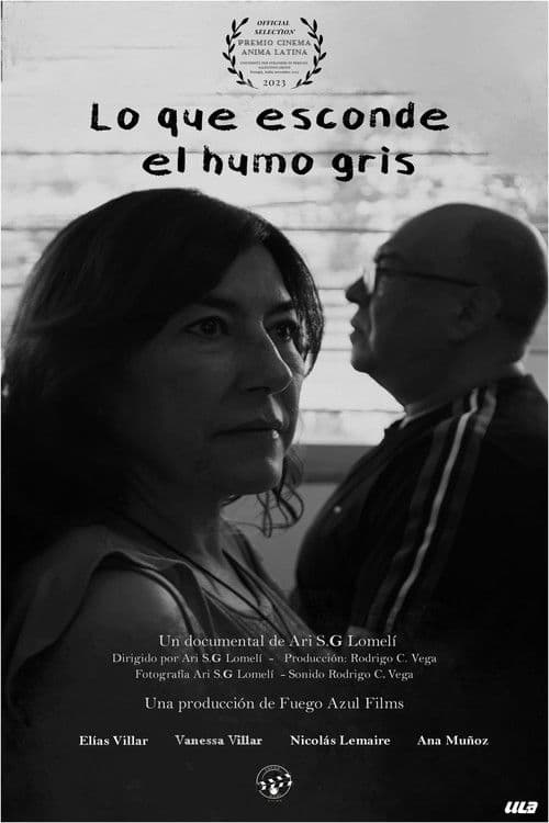 Lo que esconde el humo gris