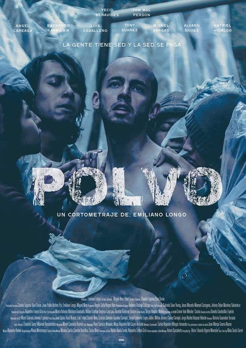 Polvo