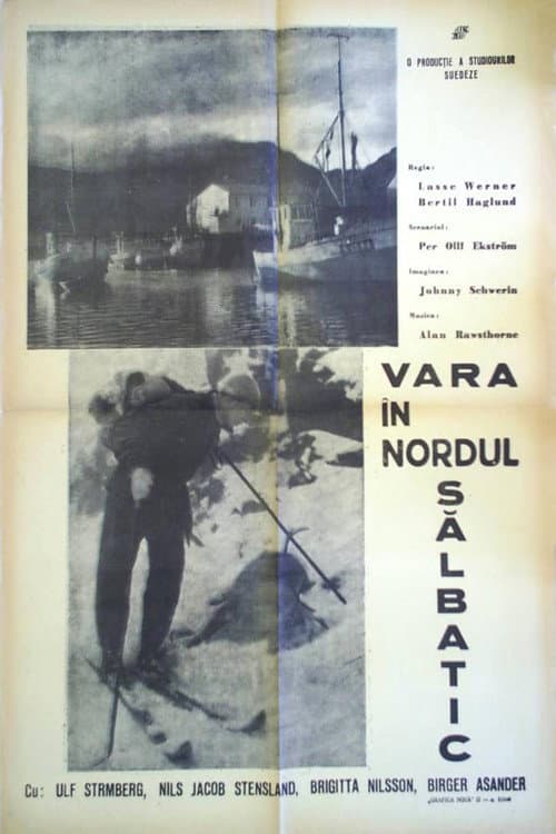 Vara în nordul sălbatic