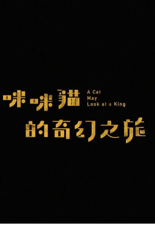 咪咪貓的奇幻之旅