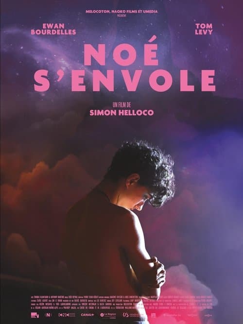 Noé s'envole