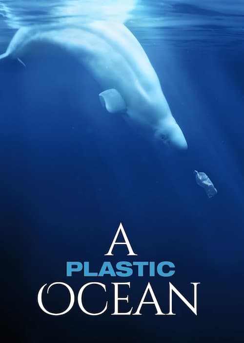 Oceanul de plastic