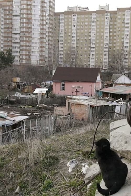 Посеред хат