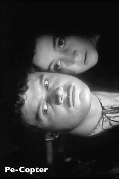 Пе-коптер