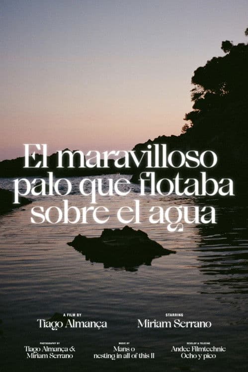 El maravilloso palo que flotaba sobre el agua