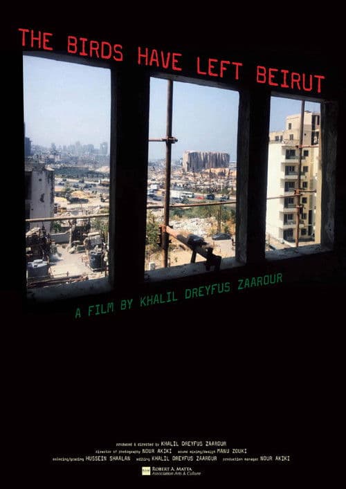 الطيور هاجرت من بيروت