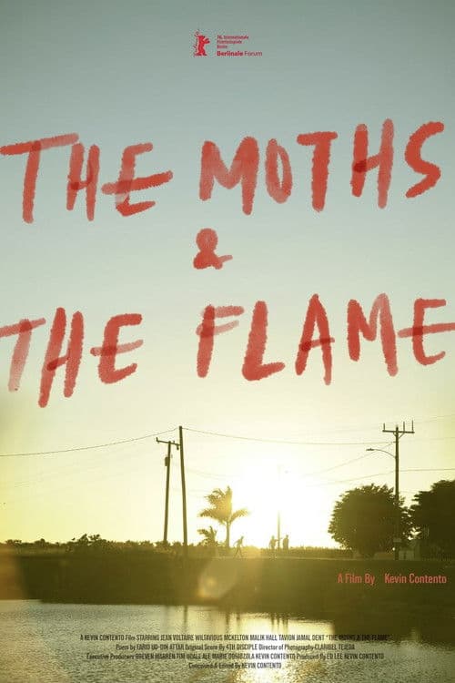 The Moths & the Flame