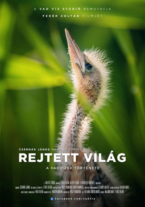 Rejtett világ - A vadvizek története