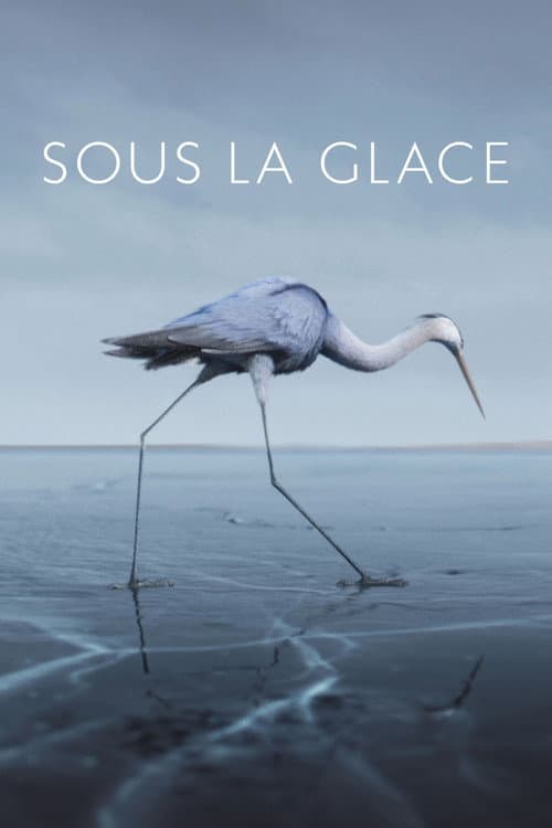 Sous la glace