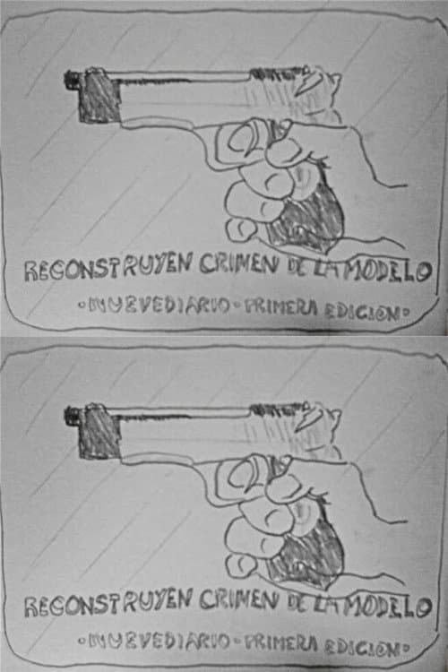 Reconstruyen crimen de la modelo