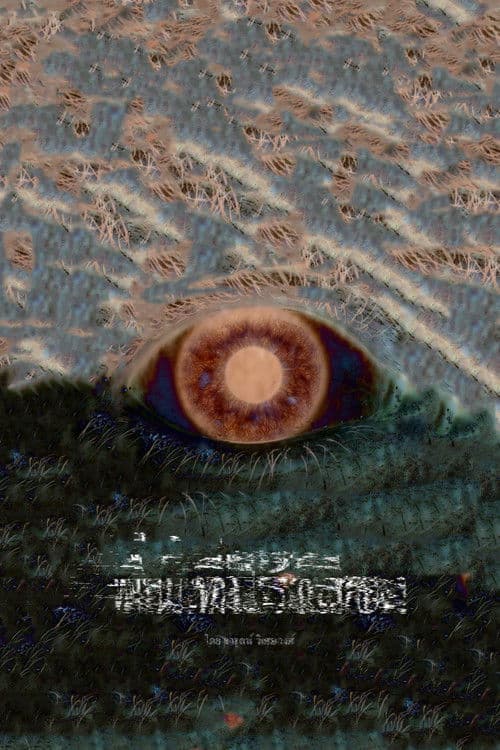 พื้นที่ไร้เสียง