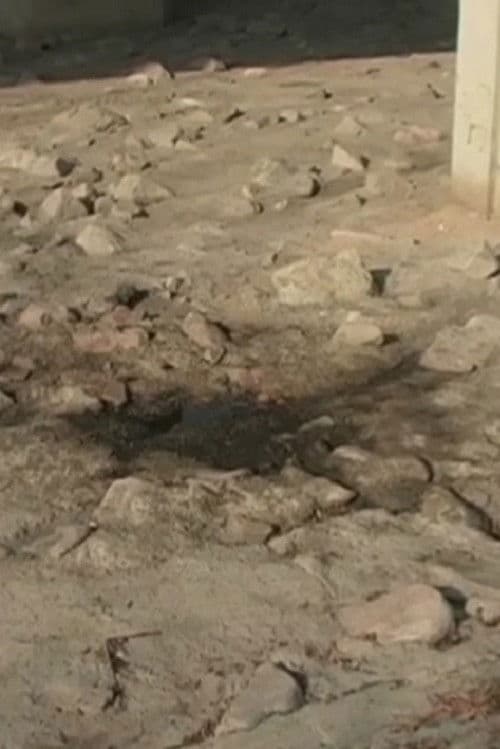 2005.1 홍제천 물