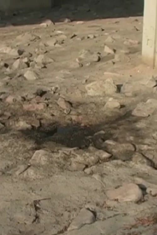 2005.1 홍제천 물