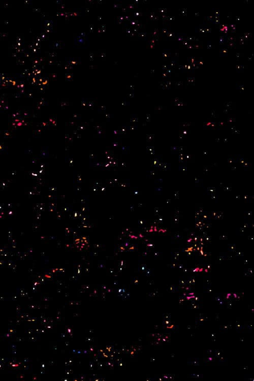 Abismos da Criação