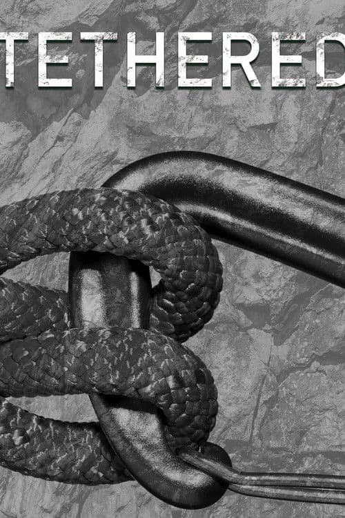 Conectați în sălbăticie