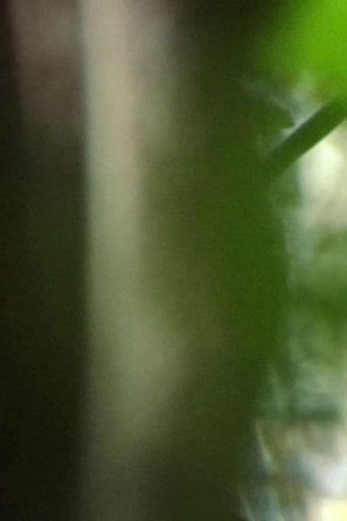 Habiter, recevoir, résister