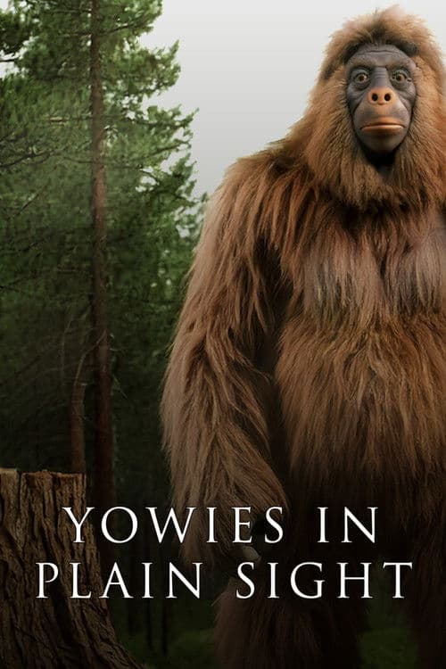 Yowies in Plain Sight