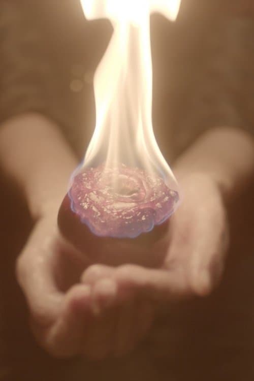 Zrozena z hořící jabloně