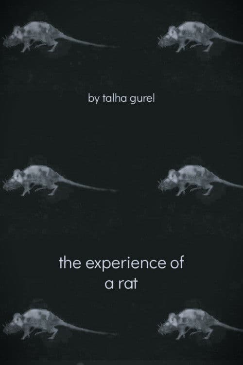 The Experience of a Rat