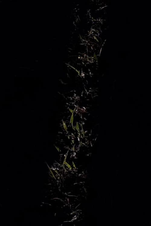 Vim Aqui Fazer Um Mapa