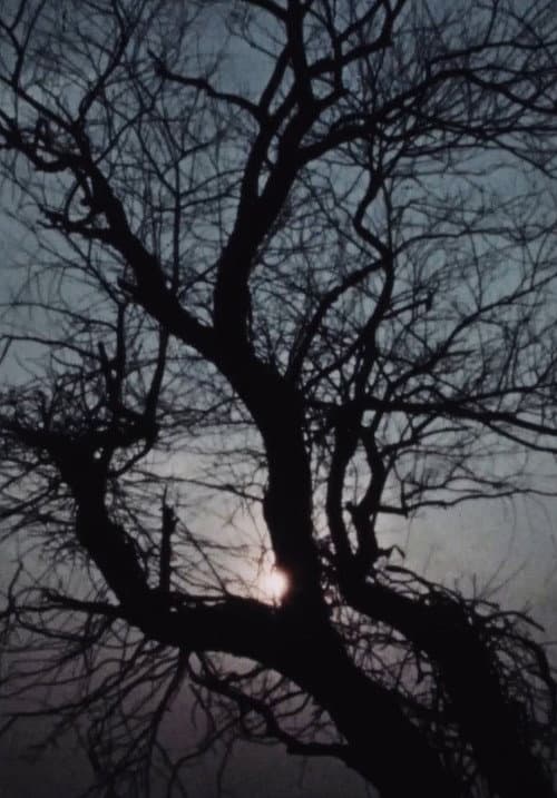 Street Film Part VII