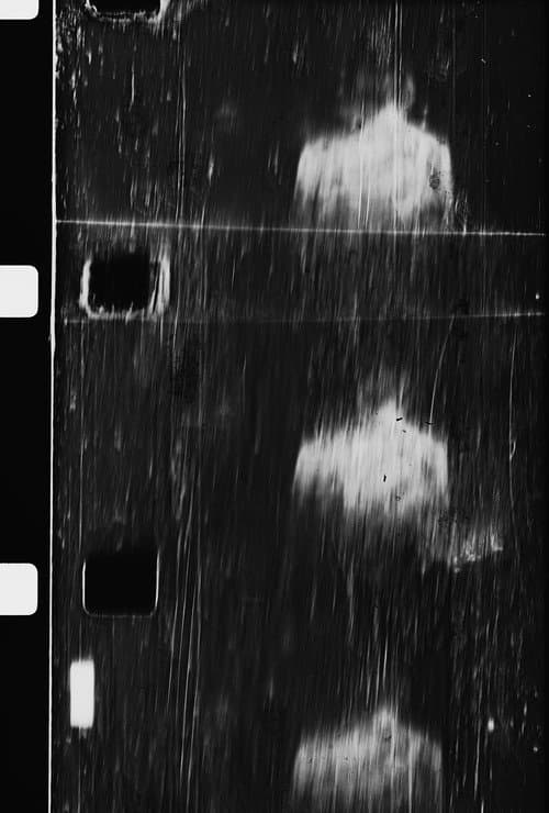 (for once I dreamed of you)