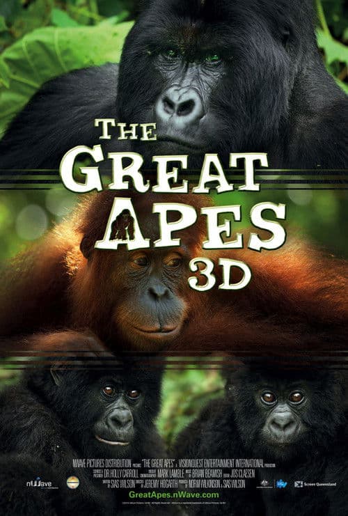 The Great Apes