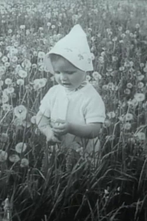 Pro žydinčią liepą