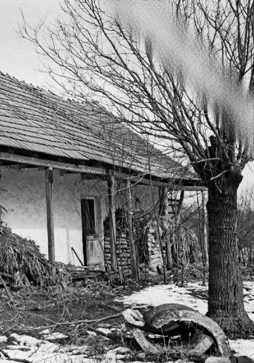 Bartók Béla: Az éjszaka zenéje