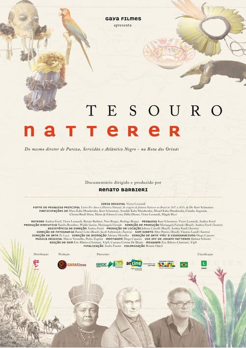 Tesouro Natterer