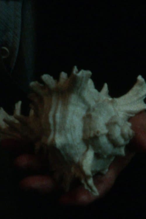 Ar jūra turi širdį?